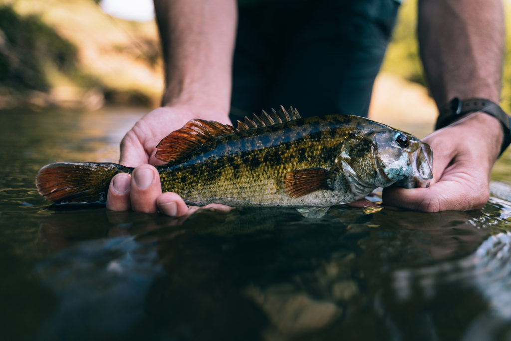 Fishing in Alabama – Waterkeepers Alabama